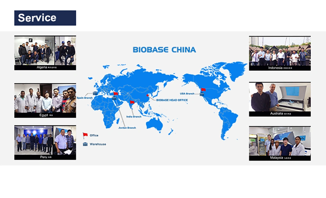 Biobase 114L Chemical Safety Acid Storage Cabinet for Lab