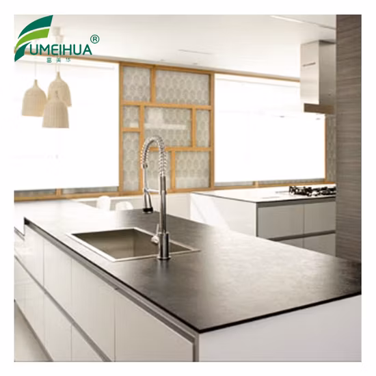 Worktop biométrico da resistência química da sala do laboratório